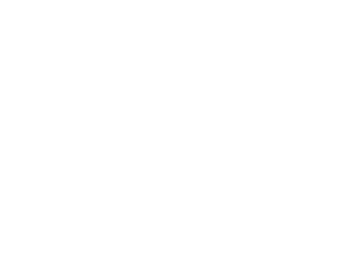 PJ Roijackers