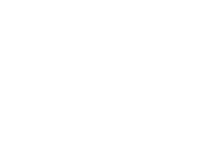 Houtse Bazar